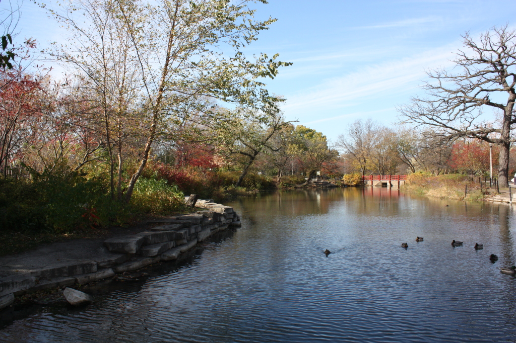 Gompers Park in the fall